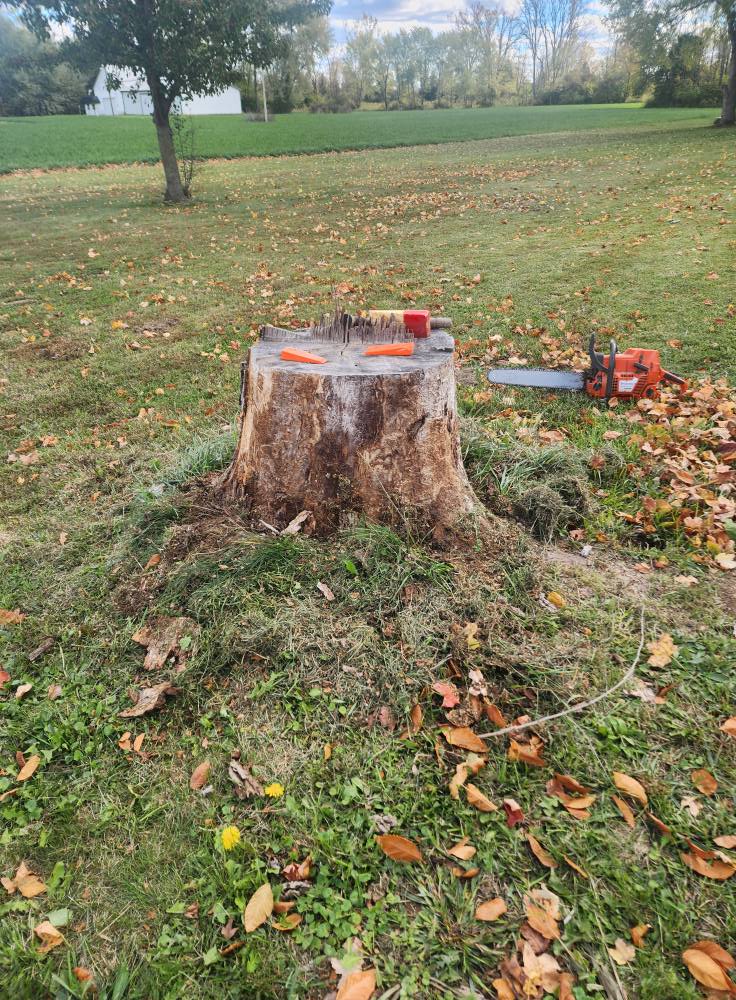 Trunk removal