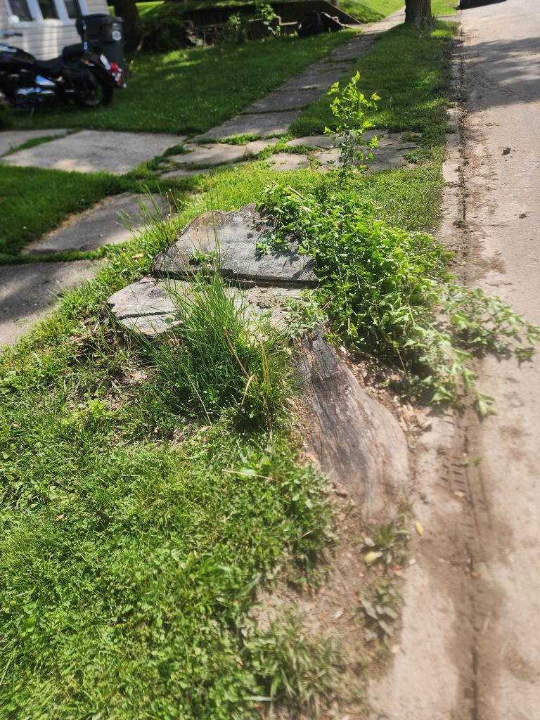 Stump grinding