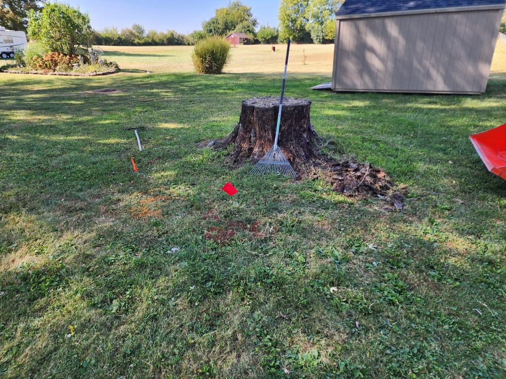 Trunk removal